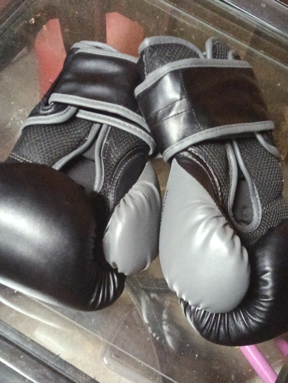 Everlast Black and Gray Training Boxing Gloves